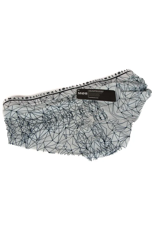Male Basics Male Sex Toys Male Basics Hipster Brief Spider Web Pint MB203SPD
