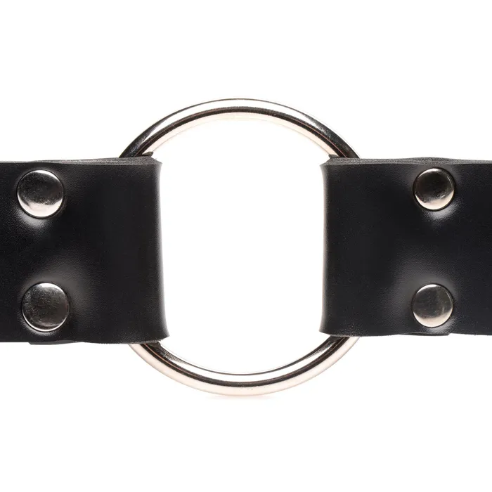 Strap and Ride Dildo Strap Harness Master Series Female Sex Toys