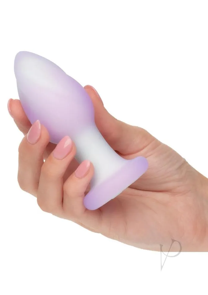 Anal Lavender Haze Lavender Haze Ridge Probe Silicone Rechargeable Anal Plug PurpleWhite