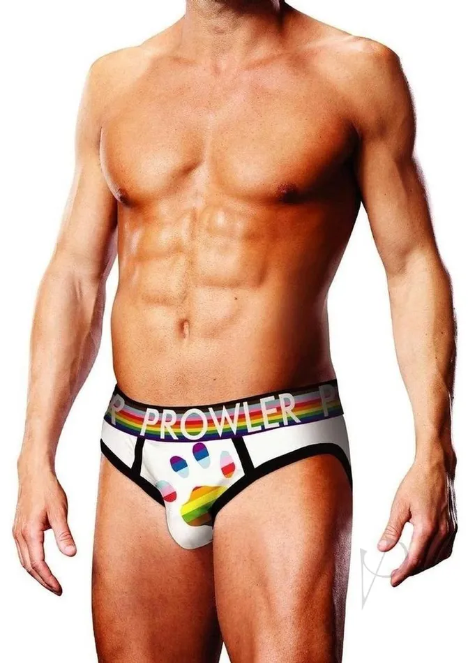 Prowler Prowler Pride Brief Collection 3 Pack XSmall Multicolor Female Sex Toys Prowler Prowler Pride Brief Collection 3 Pack XSmall Multicolor Female Sex Toys